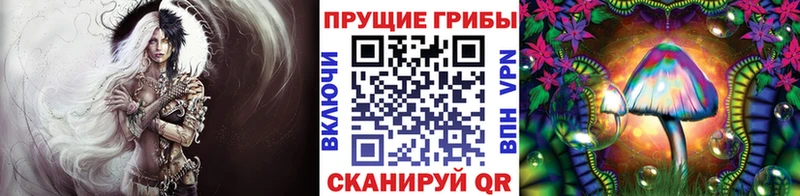 Галлюциногенные грибы Cubensis  Перевоз 
